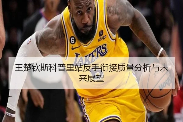 王楚钦斯科普里站反手衔接质量分析与未来展望（hth）